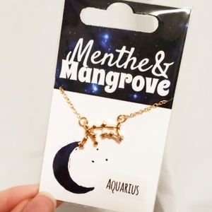 🏷 aquarius constellation necklace